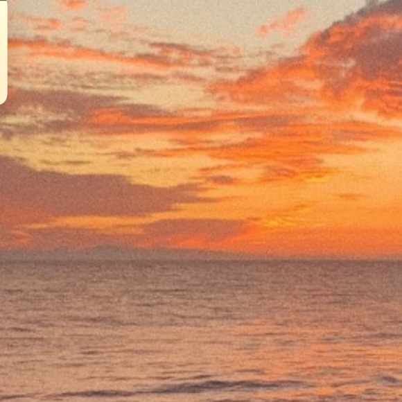 Meet your Posher, Nancy - Picture 1 of 1